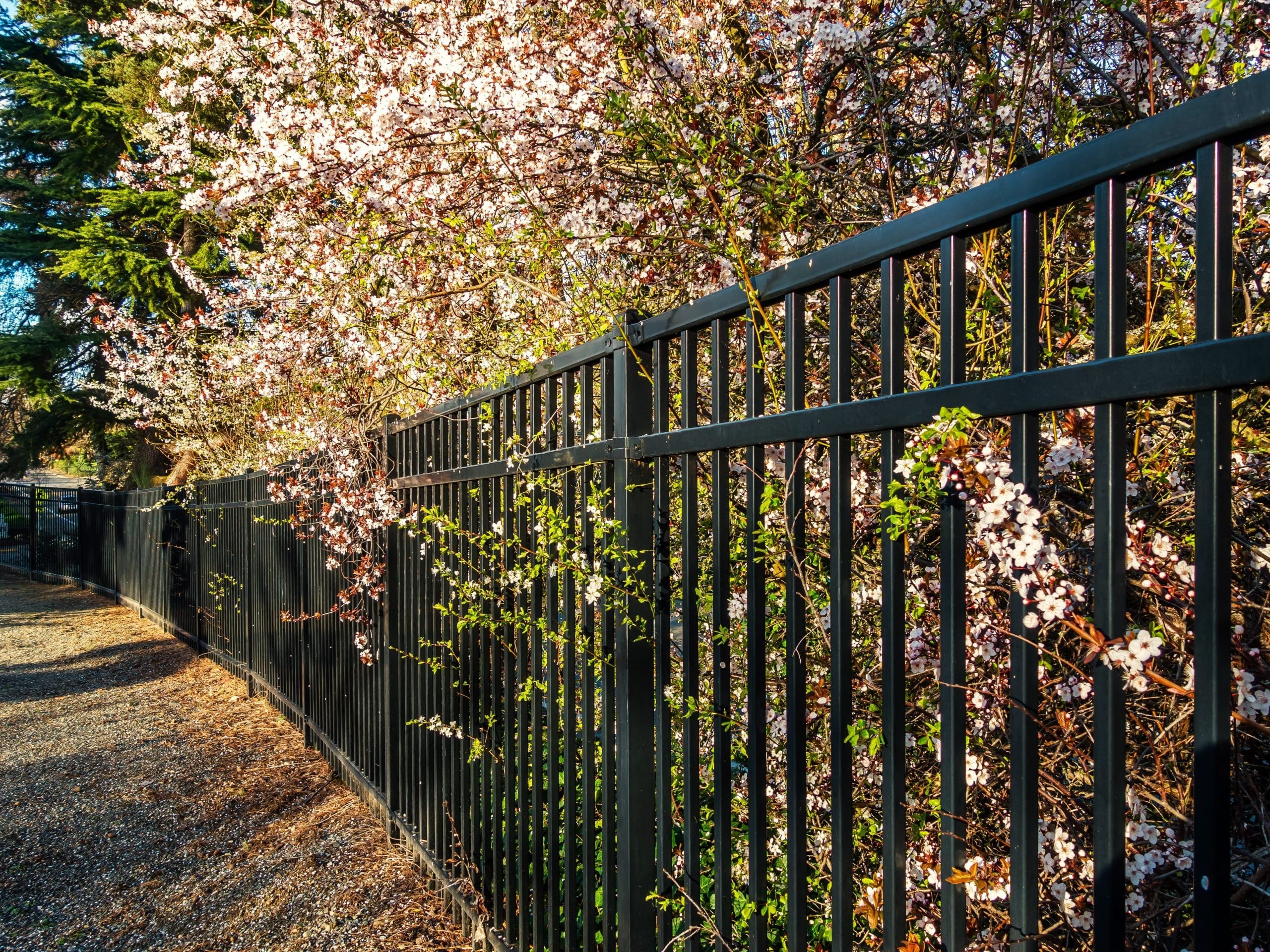 Specialty Landscaping Services - Fencing