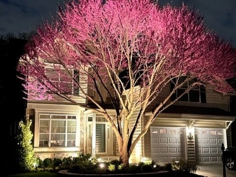 Landscape_Lighting3