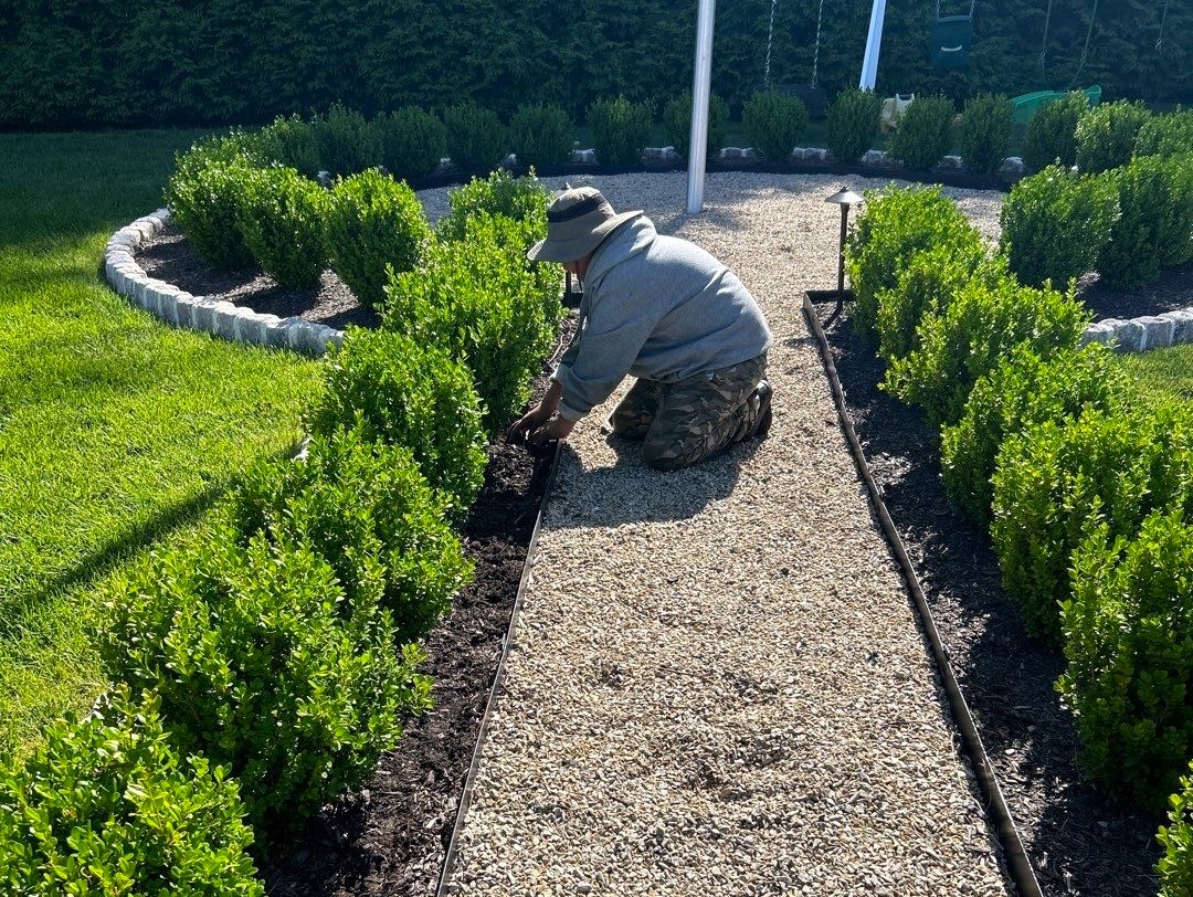 Planting by JHL