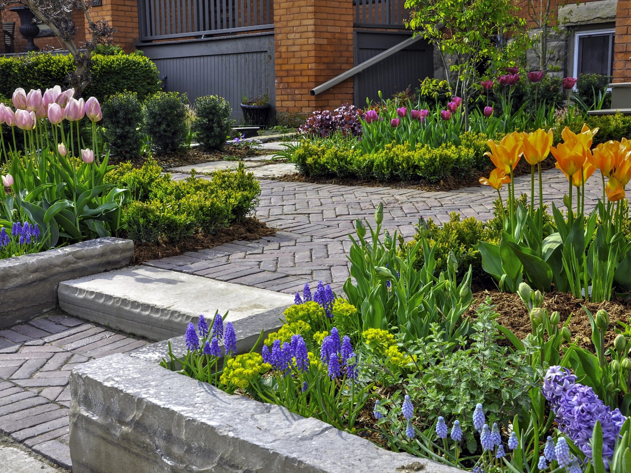 Planting by JHL