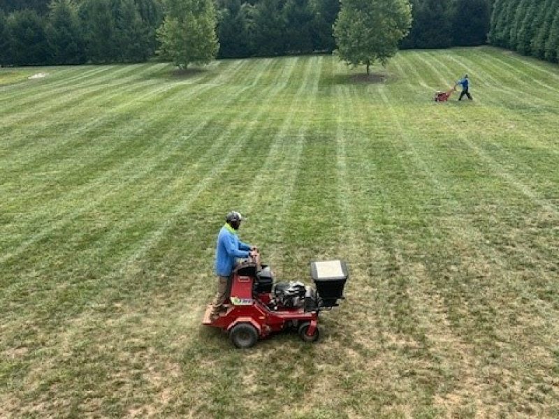 Aeration & Over Seeding