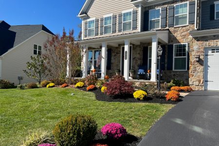 Landscape design