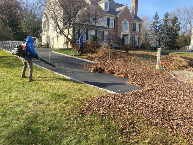 Fall Clean Up