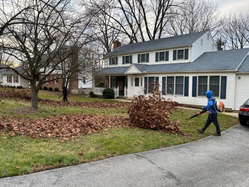 Fall Clean Up