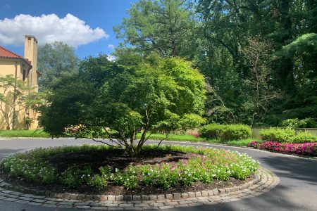 Landscape Design