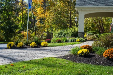 Walkway Design