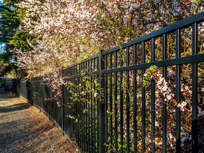 Specialty Landscaping Services - Fencing