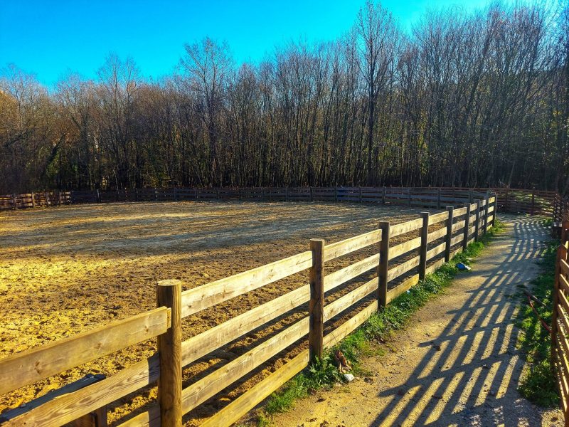 Rail Fencing