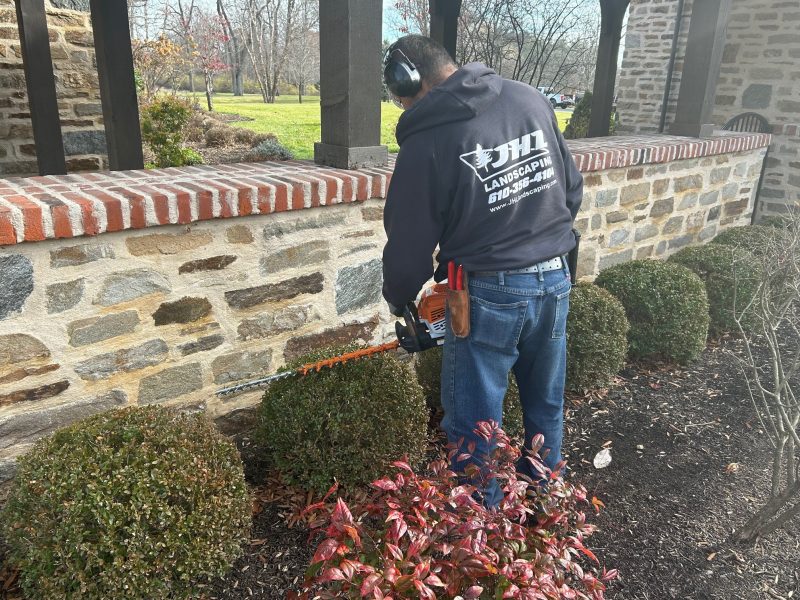 Seasonal Pruning