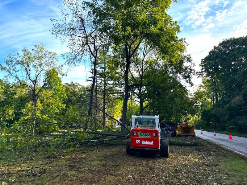 Specialty Landscaping Services by JHL Landscaping - Site Cleaning