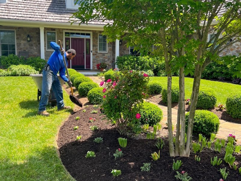 Spring Clean up & Mulching