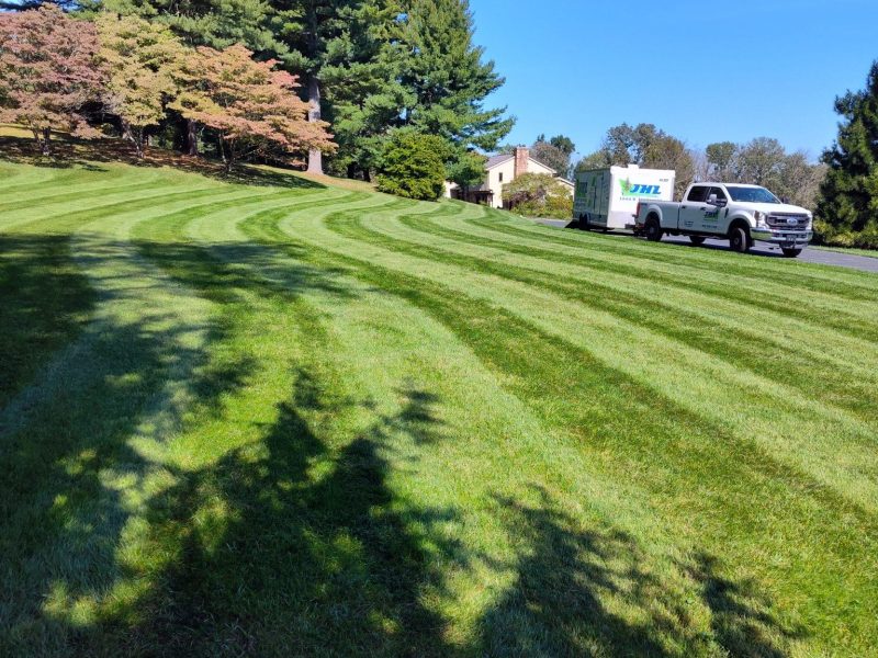 Weekly Lawn Maintenance