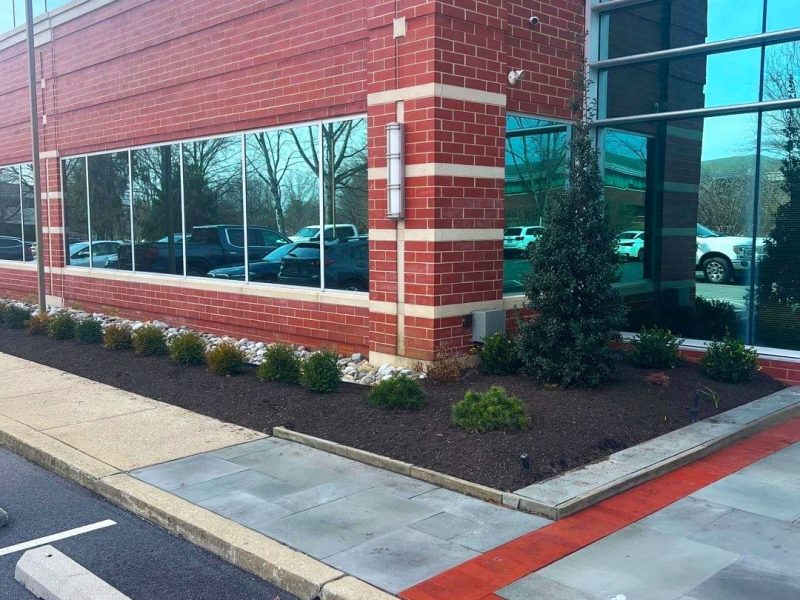commercial landscape maintenance