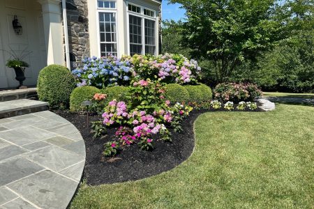 Landscape Design