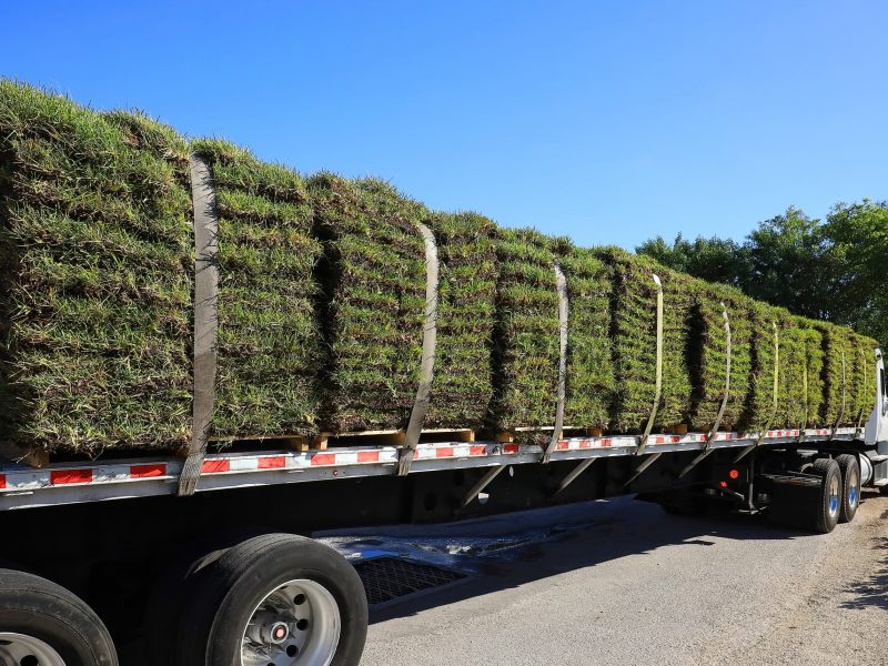 Truck load of freshly cut St. Augustine sod being delivered at a local garden center.