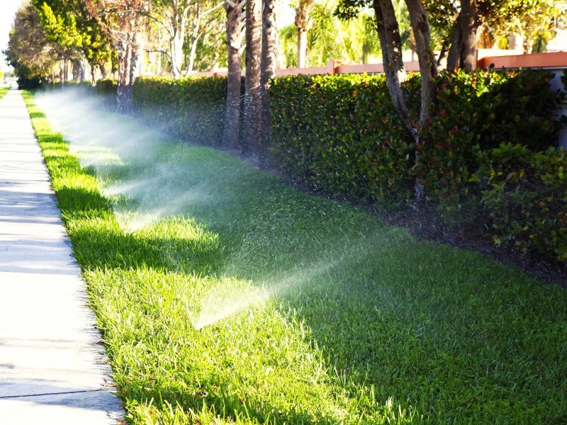 Irrigation