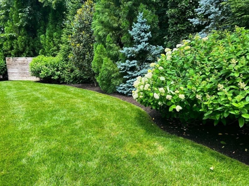 mulching_garden_1