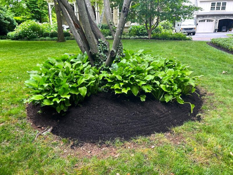 mulching_garden_3