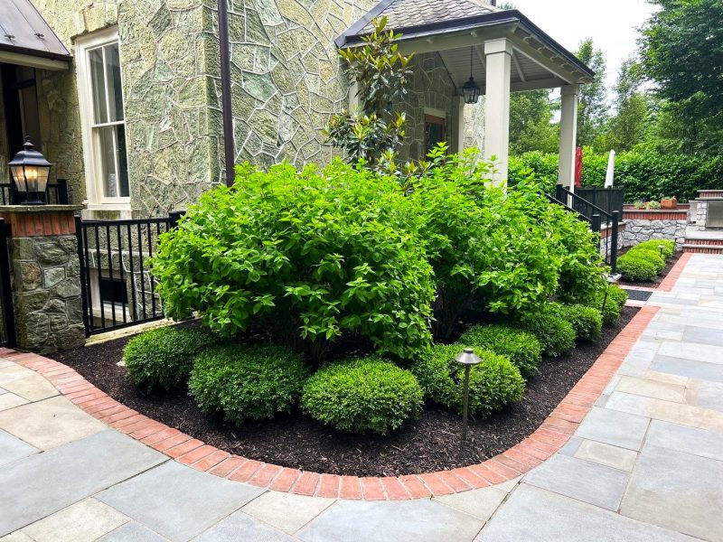 mulching_garden_6