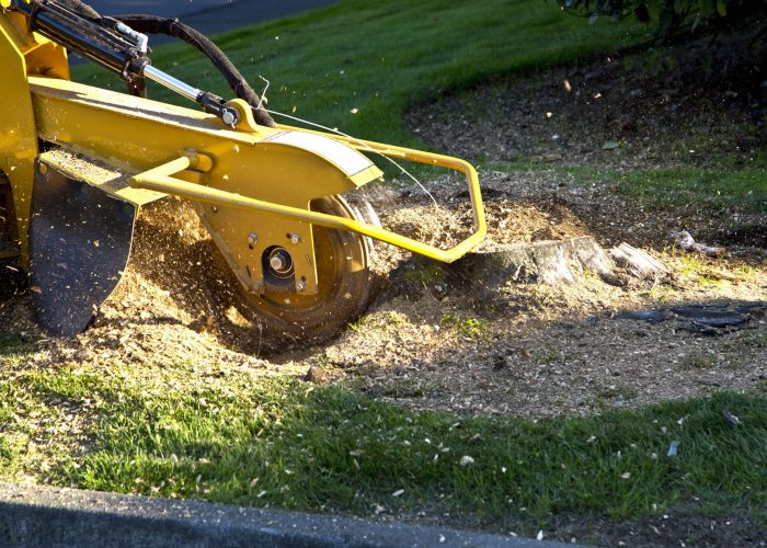 Specialty Landscaping Services by JHL Landscaping - Tree Work-Grinding